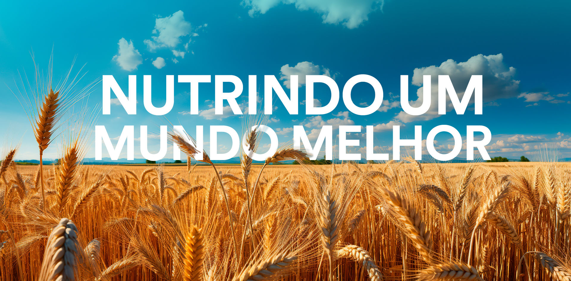 header