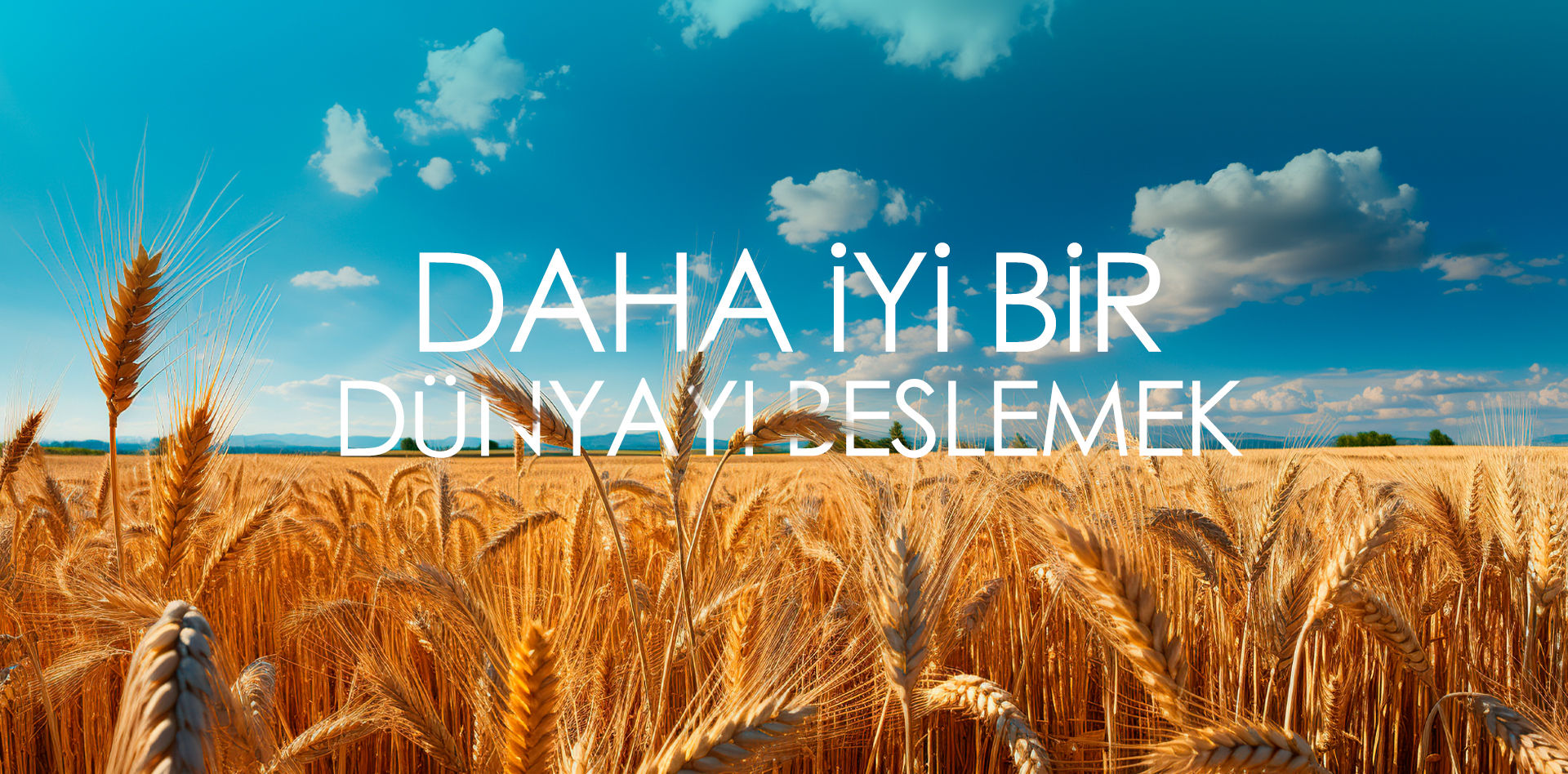 header