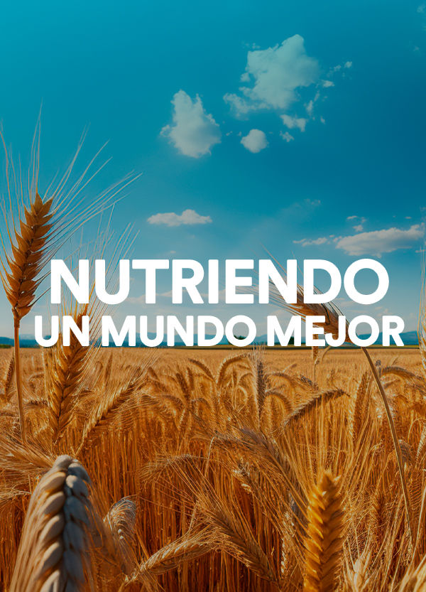 header