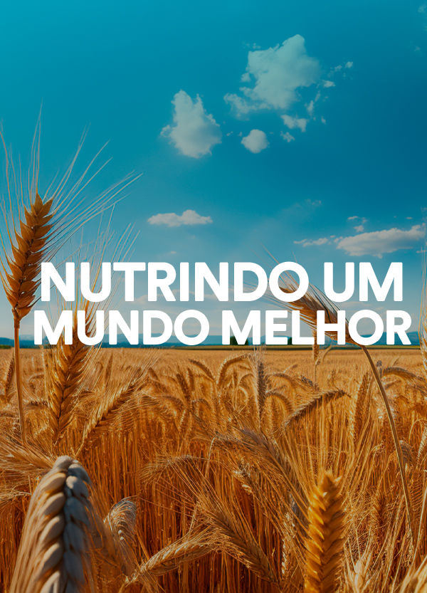 header