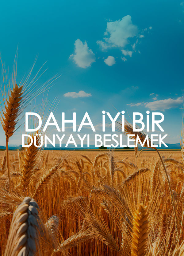 header
