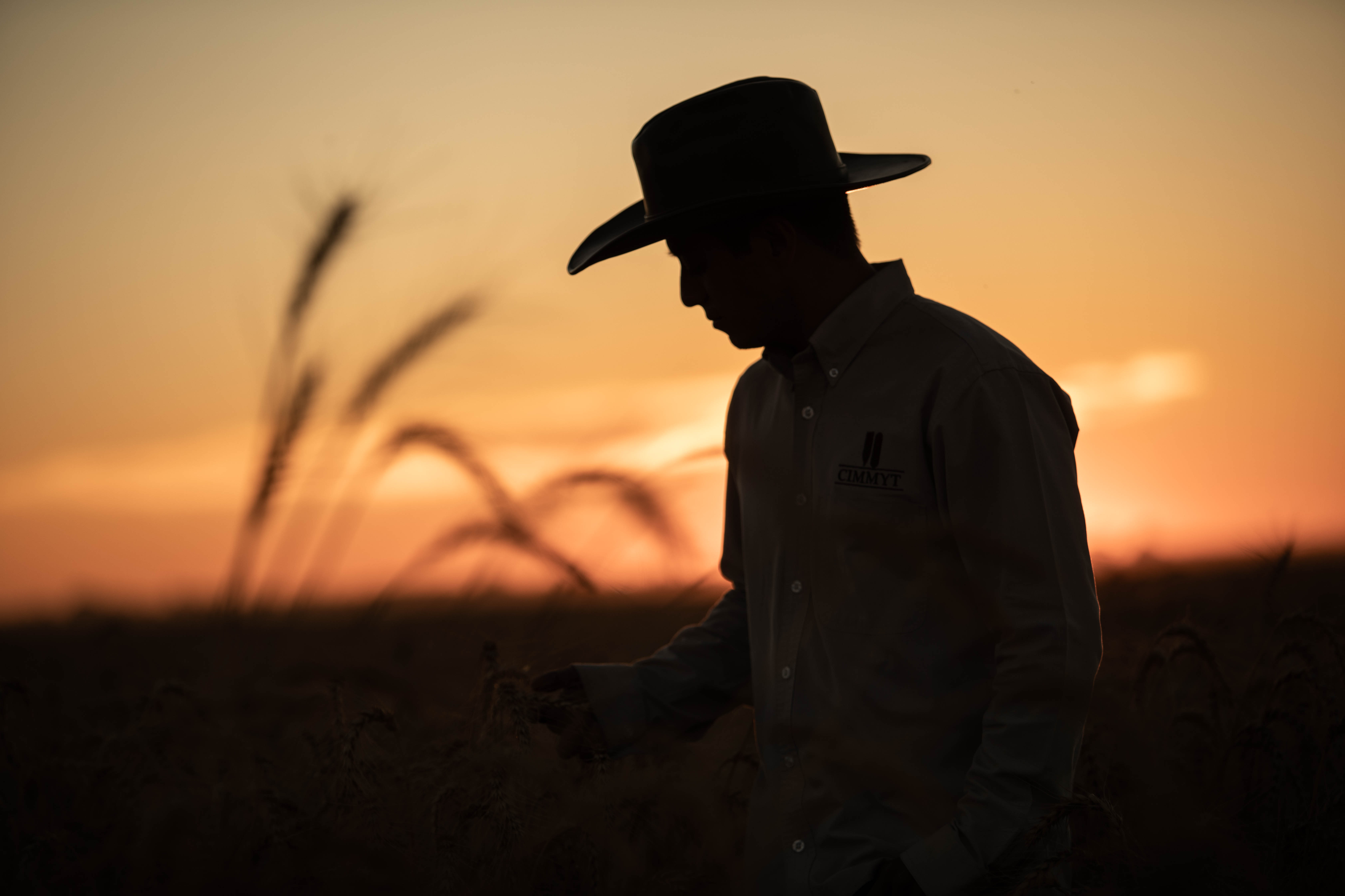 World Agriculture Day 